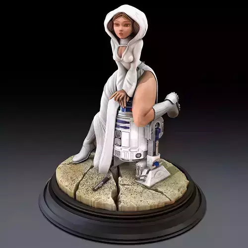 Star Leia 3D print model