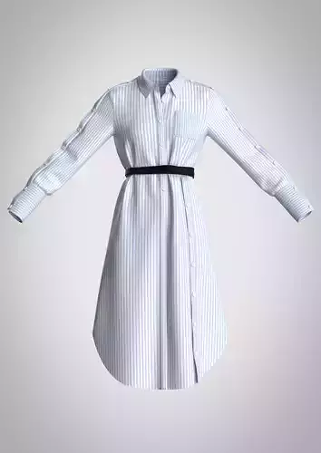 Aster belted button-detailed striped cotton-poplin shirt dress