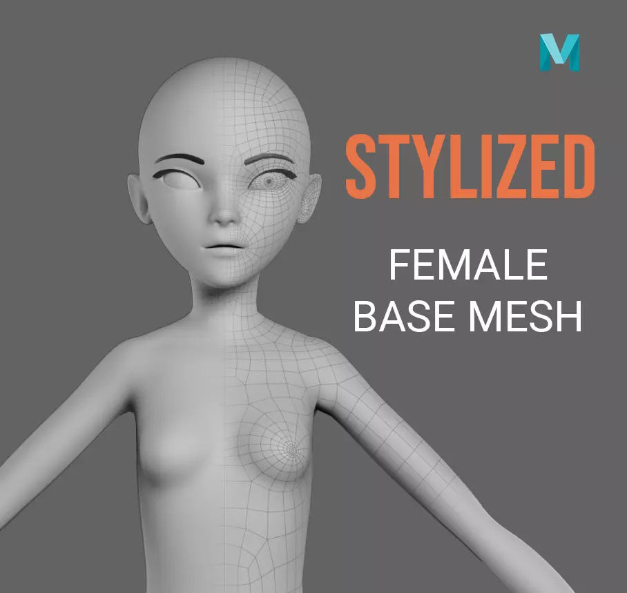 Female Base Mesh Free 3D model_0