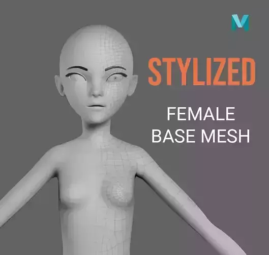 Female Base Mesh Free 3D model