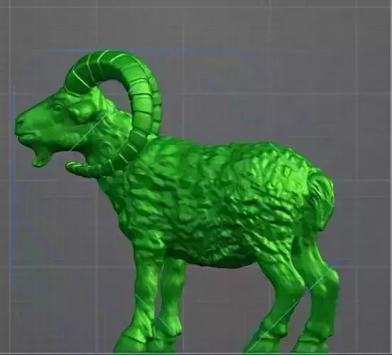 Ram in full 3D