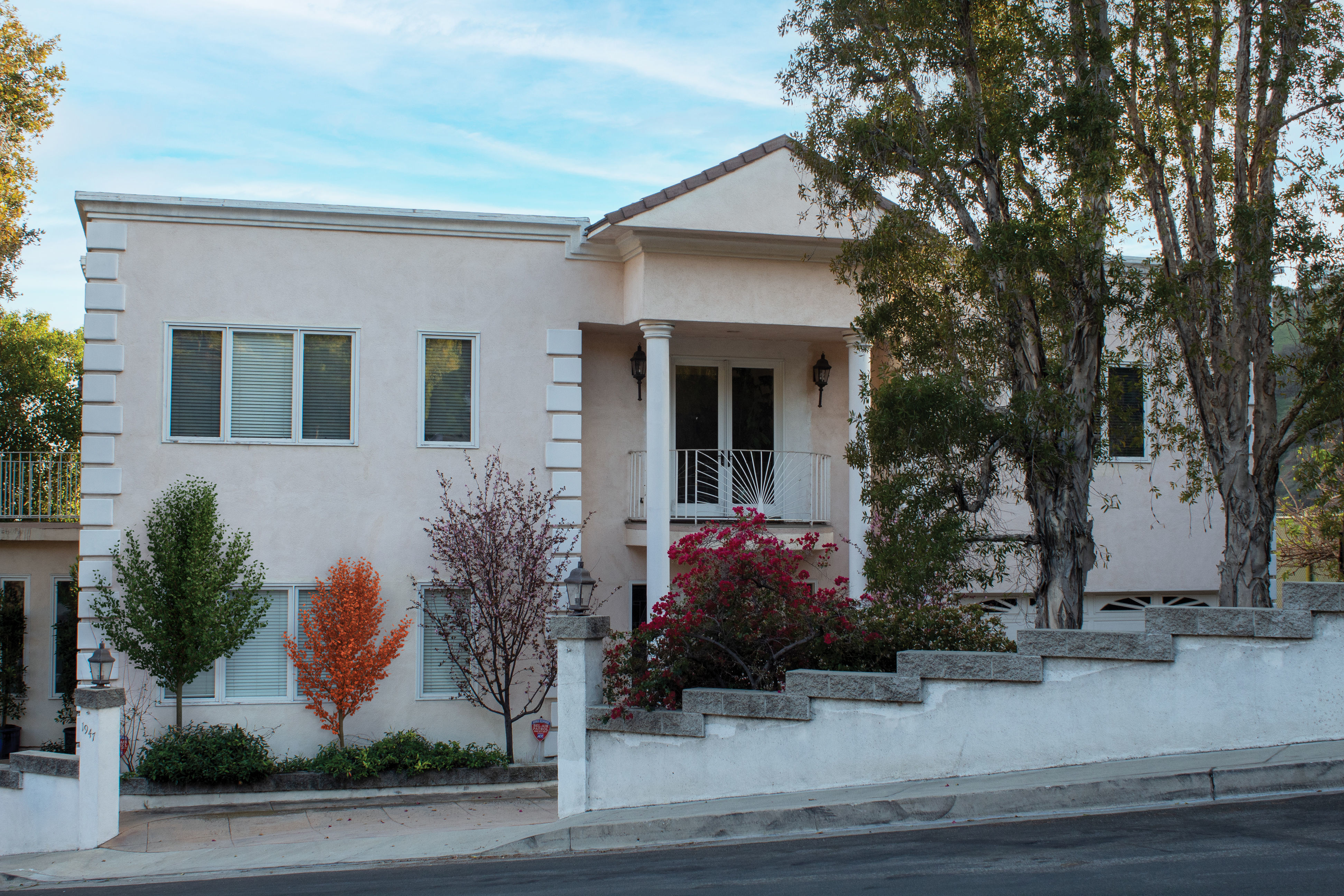 2021 PBR Field Maple Collection - Acer Campestre Free 3D model_3