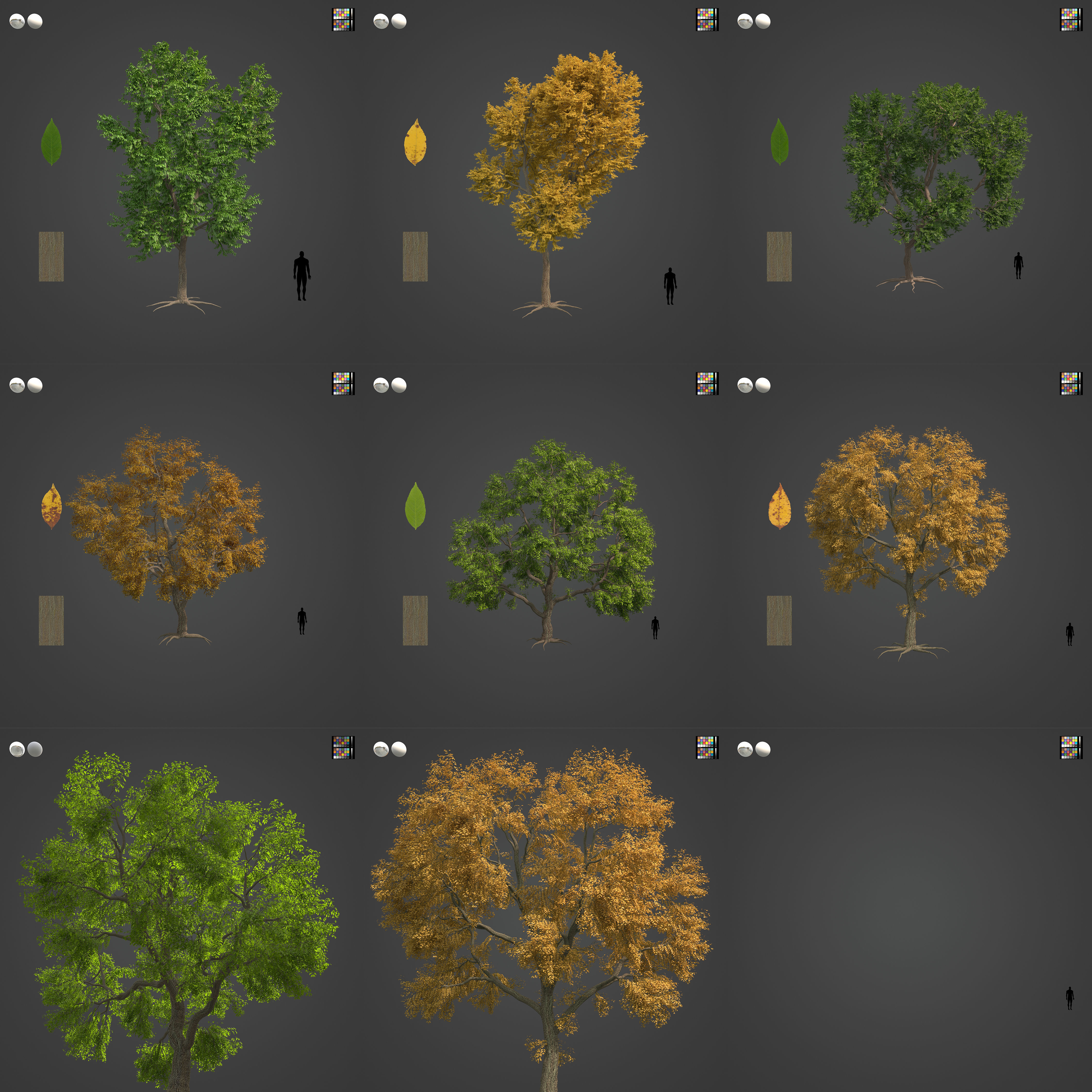 2021 PBR Common Ash Collection - Fraxinus Excelsior  3D model_3