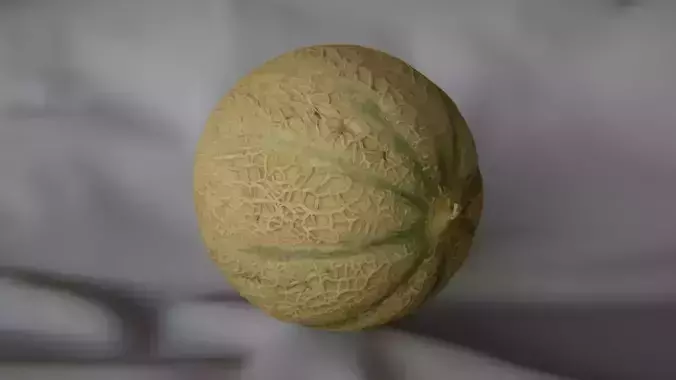 Melon 1 - 3D Scan