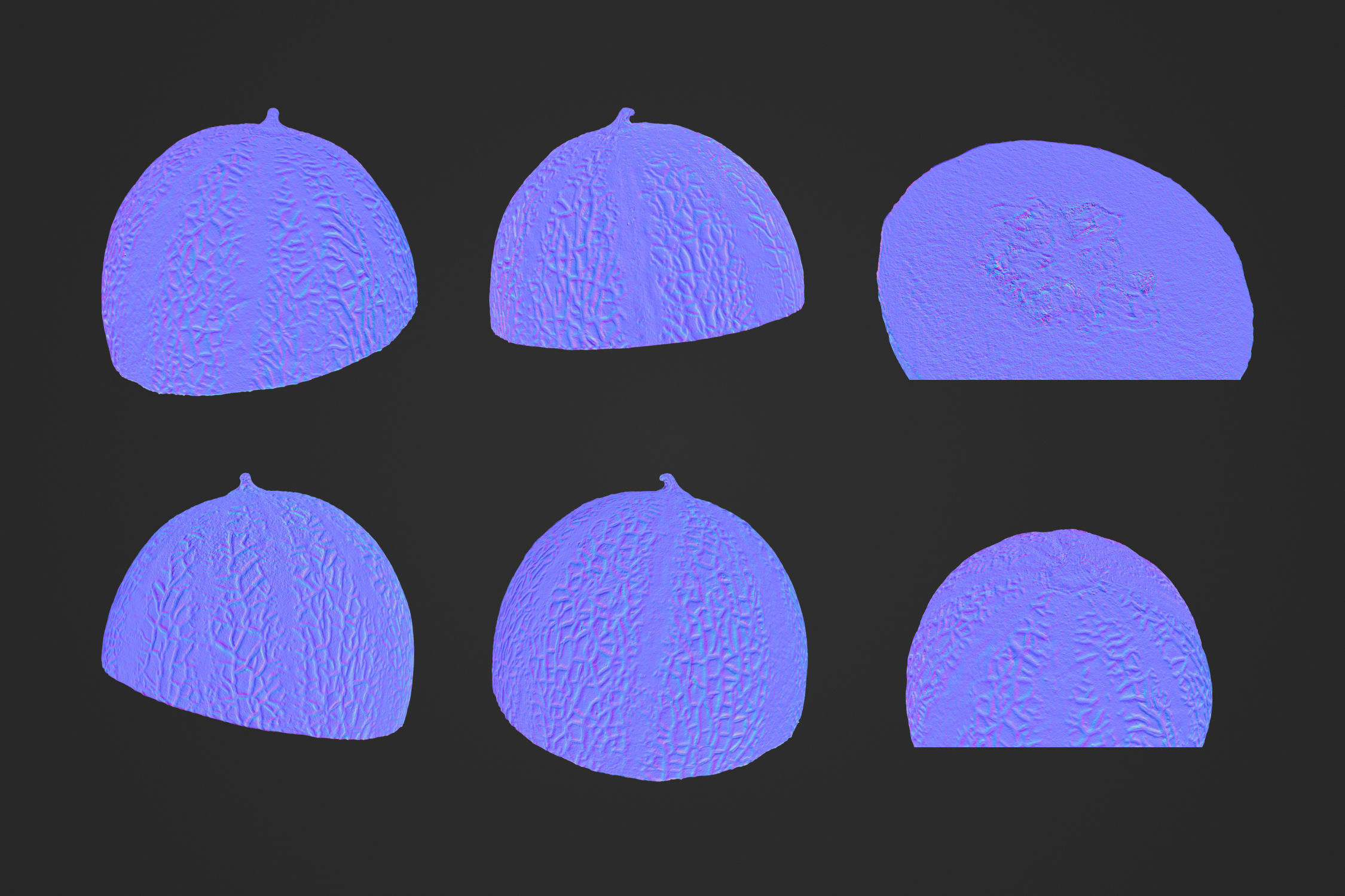Melon Half 1 - 3D Scan 3D model_2