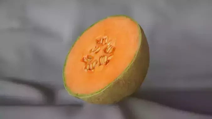 Melon Half 1 - 3D Scan