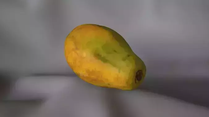 Papaya 1 - 3D Scan