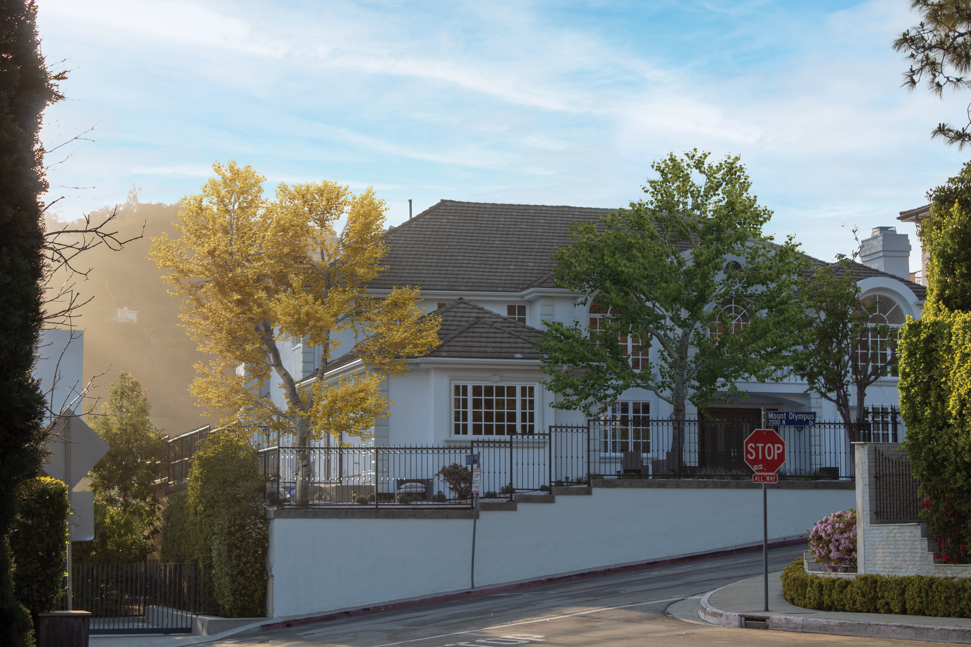 2021 PBR Black Poplar Collection - Populus Nigra 3D model_2