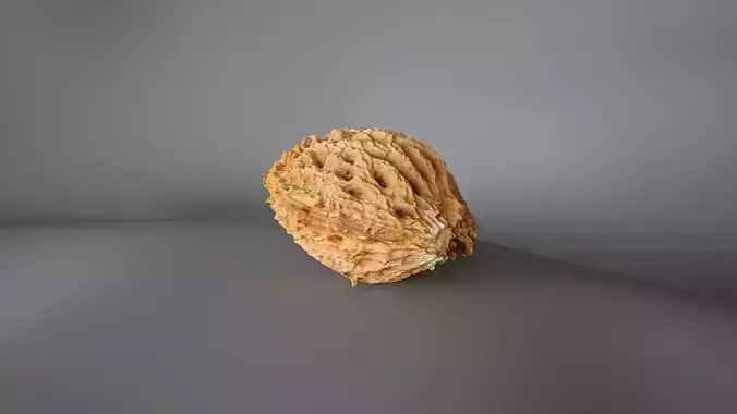 Peach Pit 1 - 3D Scan