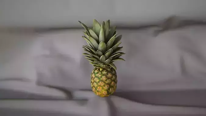 Pineapple 1 - 3D Scan 3D model