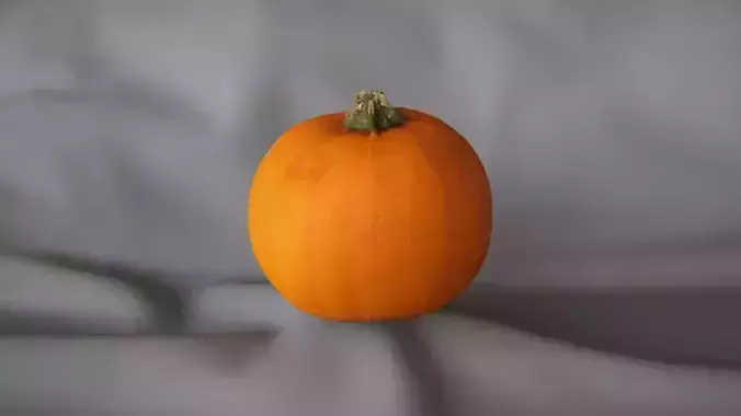 Small Pumpkin 1 - 3D Scan