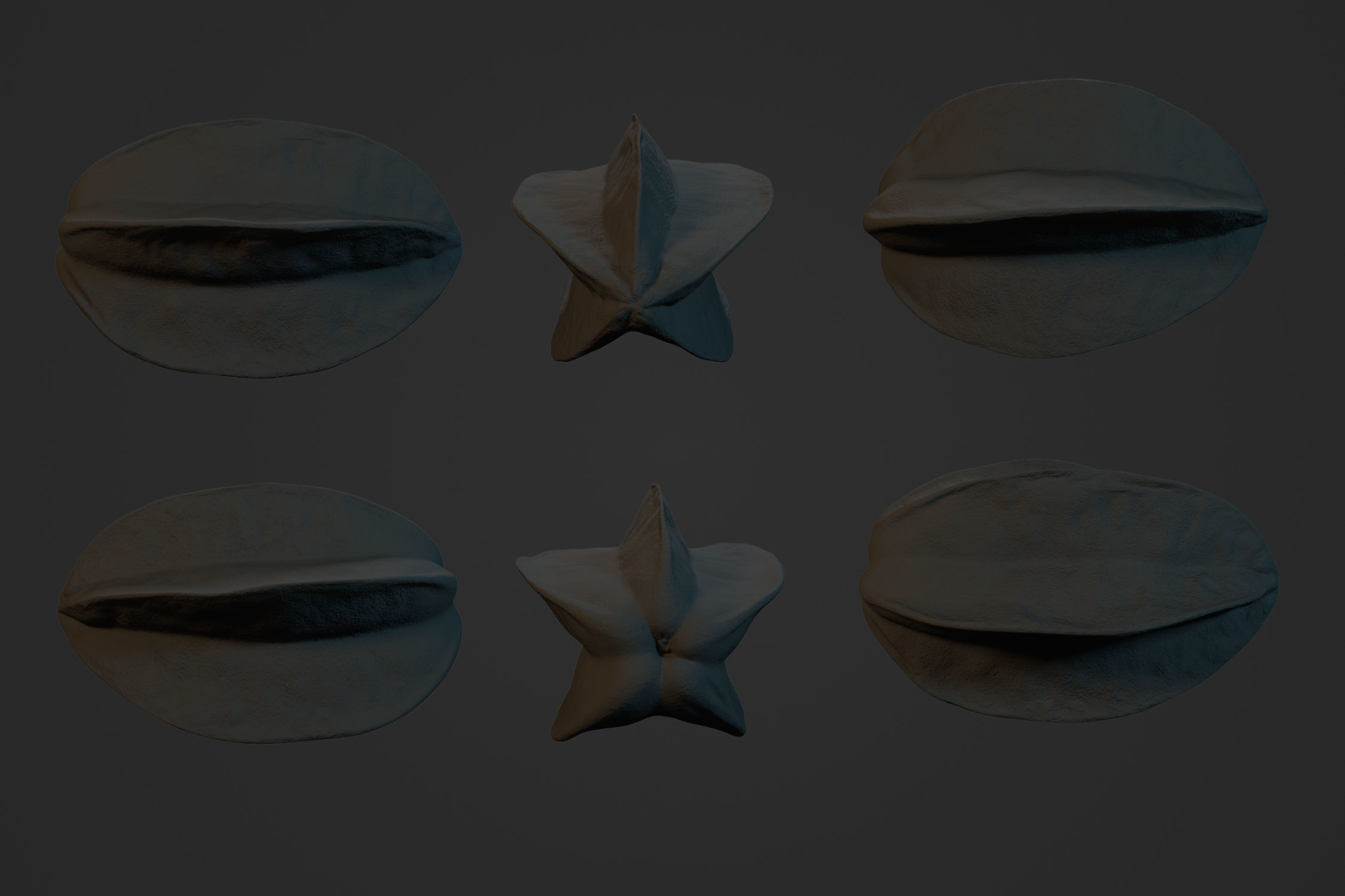 Star Fruit 1 - 3D Scan 3D model_3