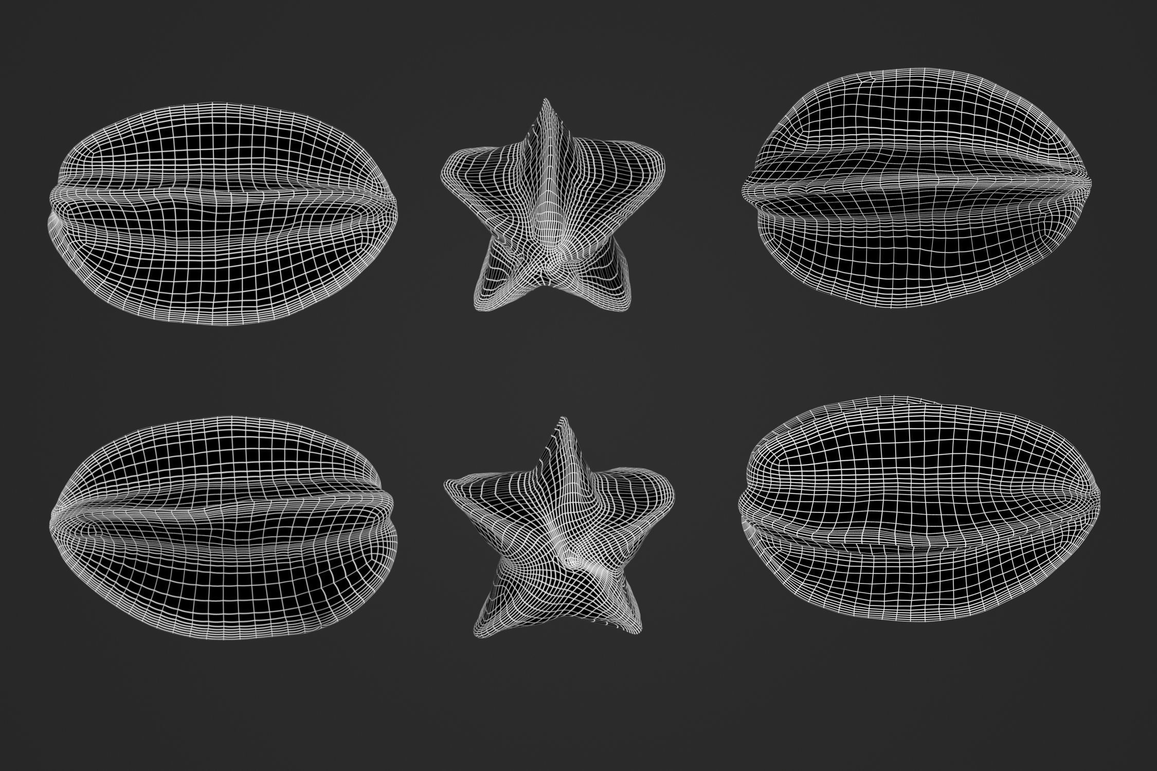 Star Fruit 1 - 3D Scan 3D model_4