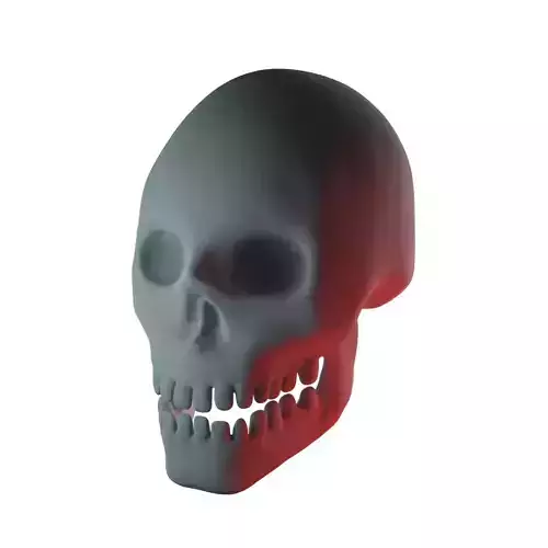 Stylized Human Skull 3D model