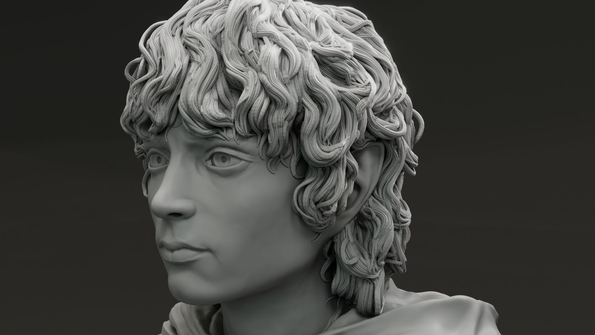 Elijah Wood - Frodo Baggins - The Lord of the Rings 3D print model_9