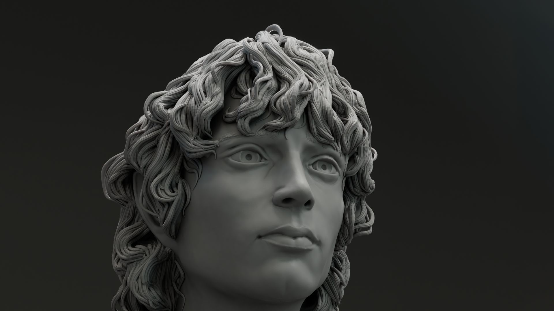 Elijah Wood - Frodo Baggins - The Lord of the Rings 3D print model_20