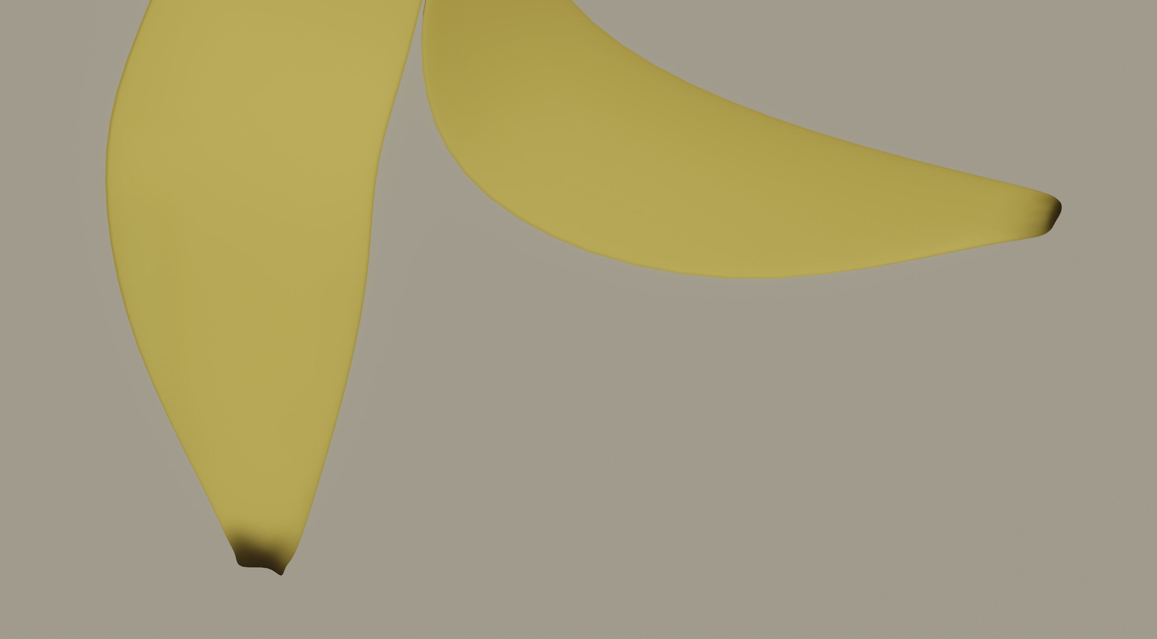Banana Peel 3D model_8