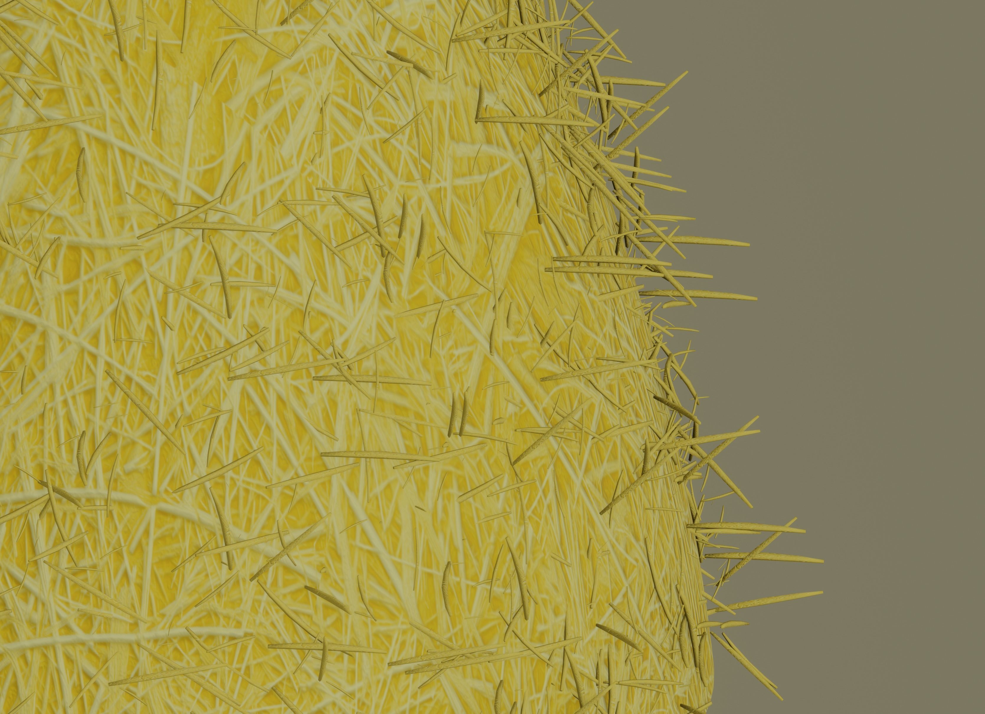 Hay Pile 3D model_8