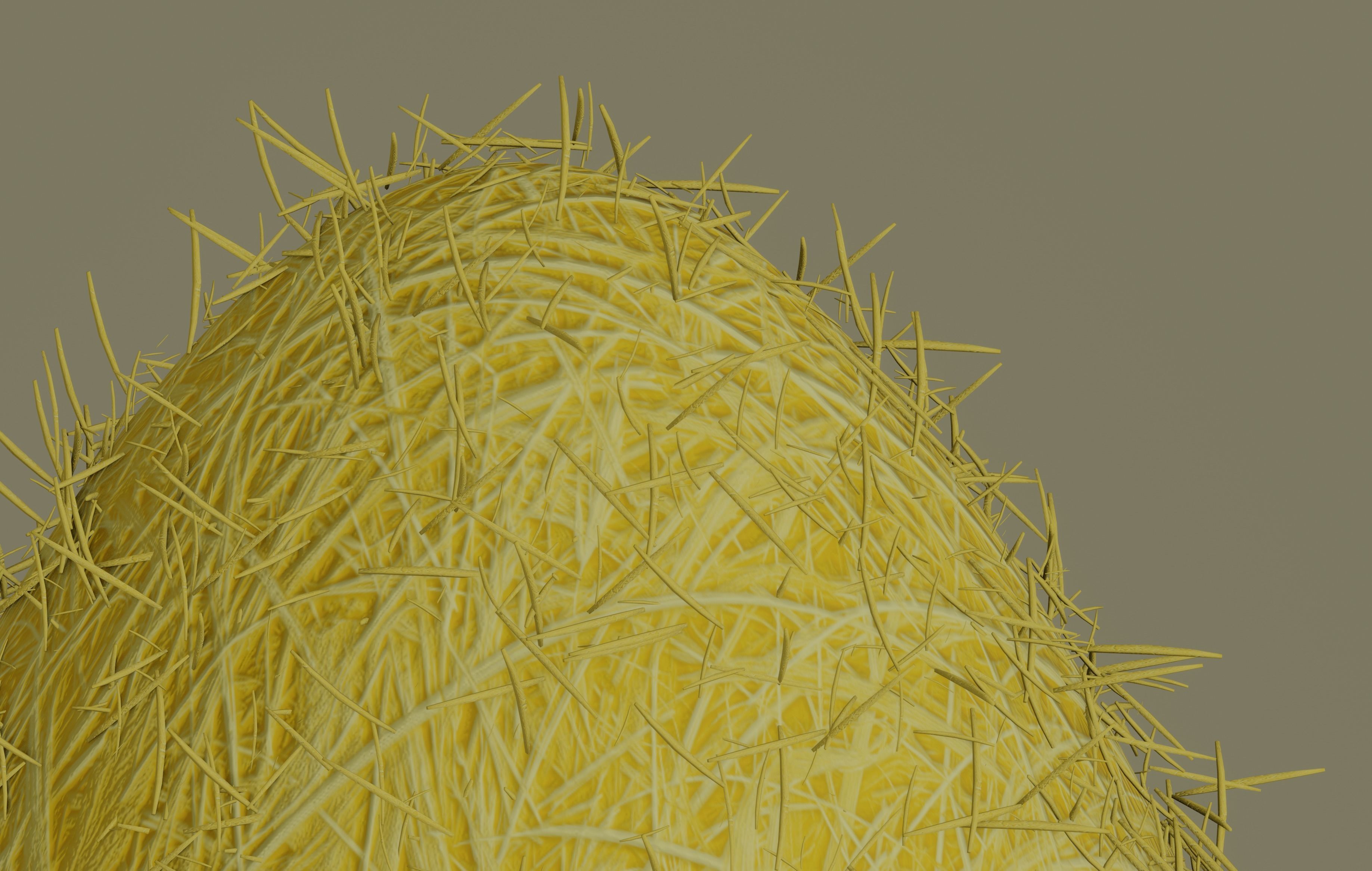 Hay Pile 3D model_7