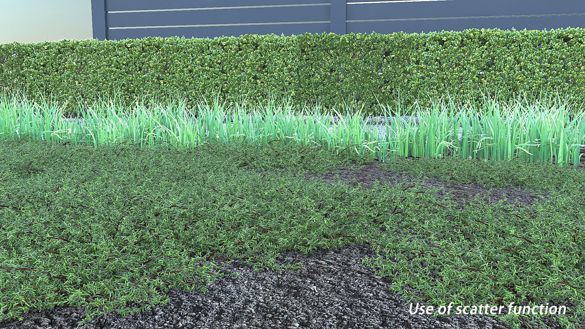 Juniperus conferta Blue Pacific 3D model_9