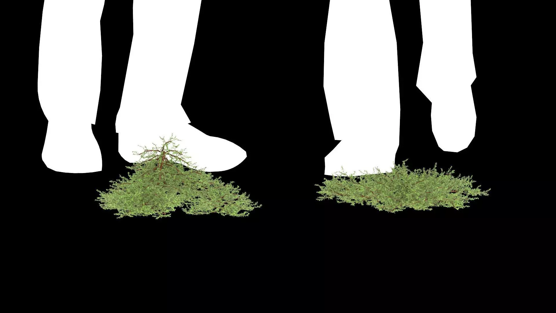 Juniperus conferta Blue Pacific 3D model_0