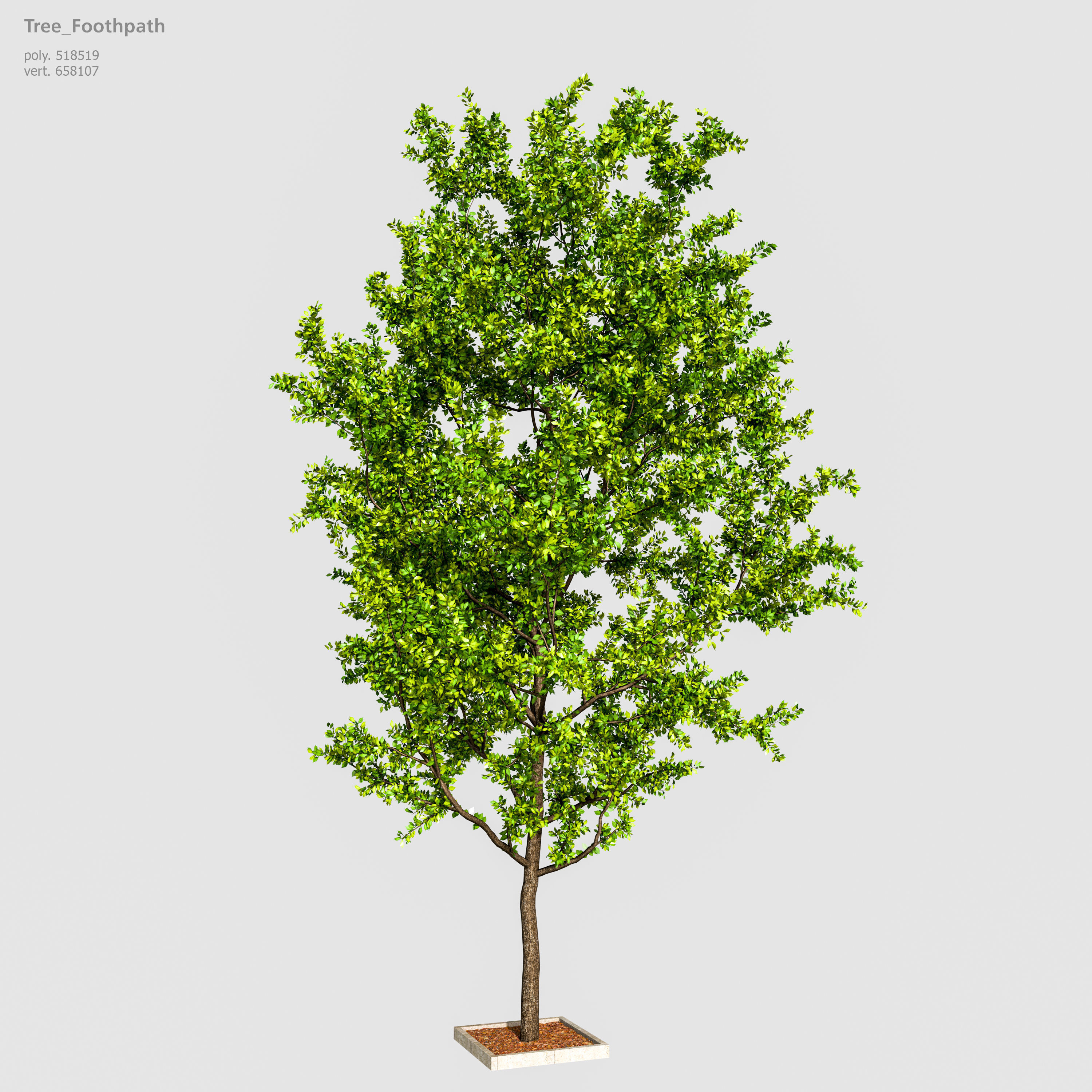 Road Fothpath Pack Low-poly 3D model_19