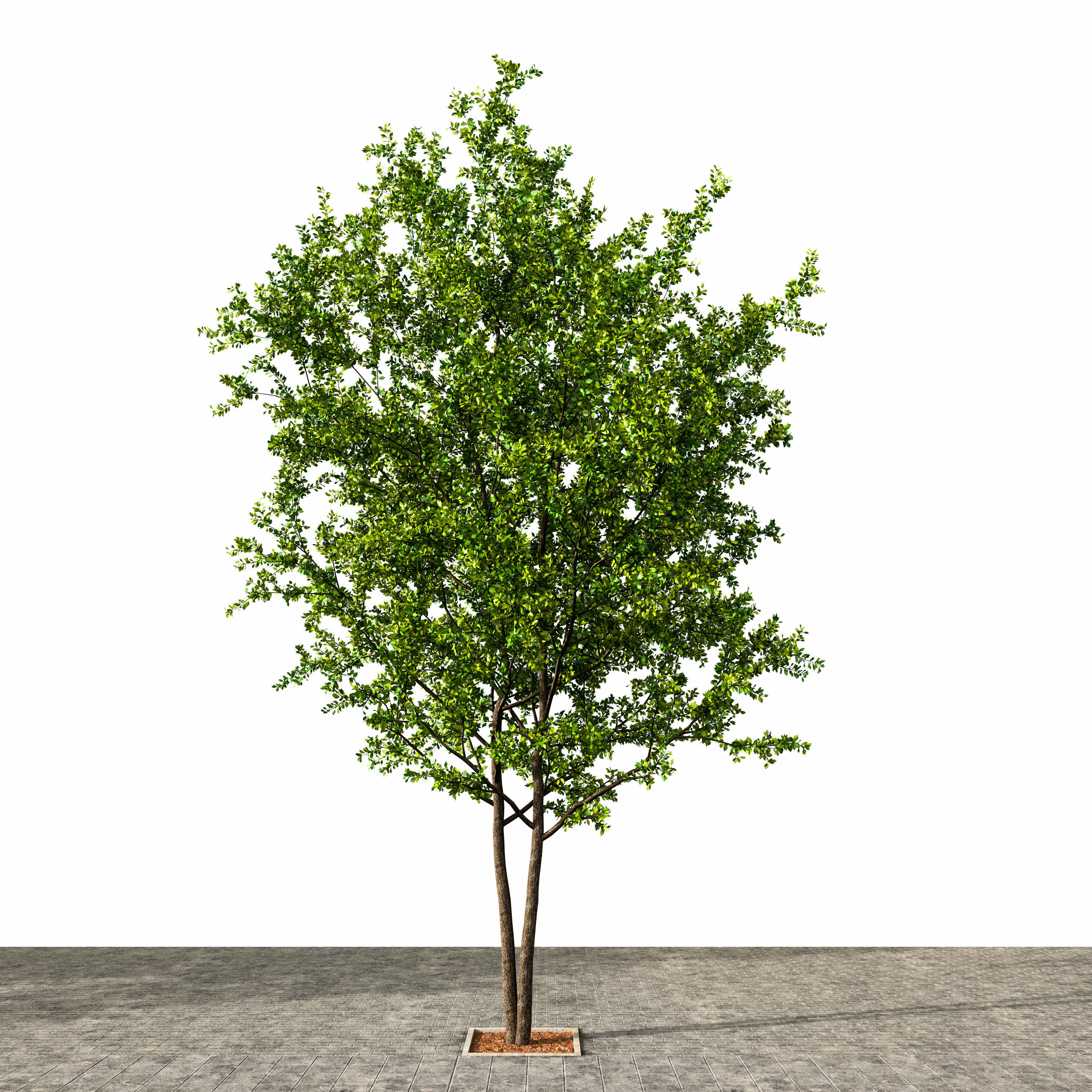 Road Fothpath Pack Low-poly 3D model_20