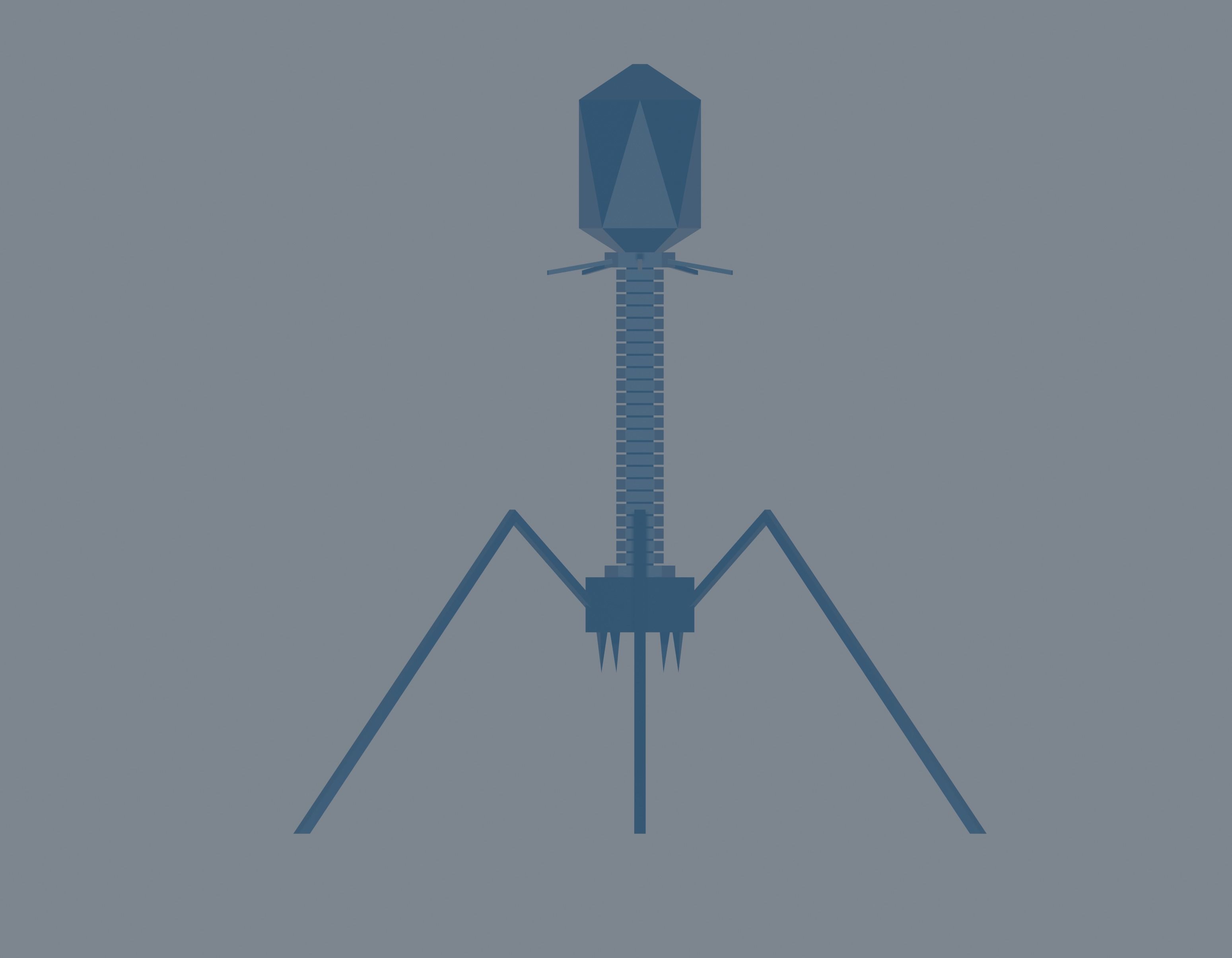 Bacteriophage Low-poly 3D model_2
