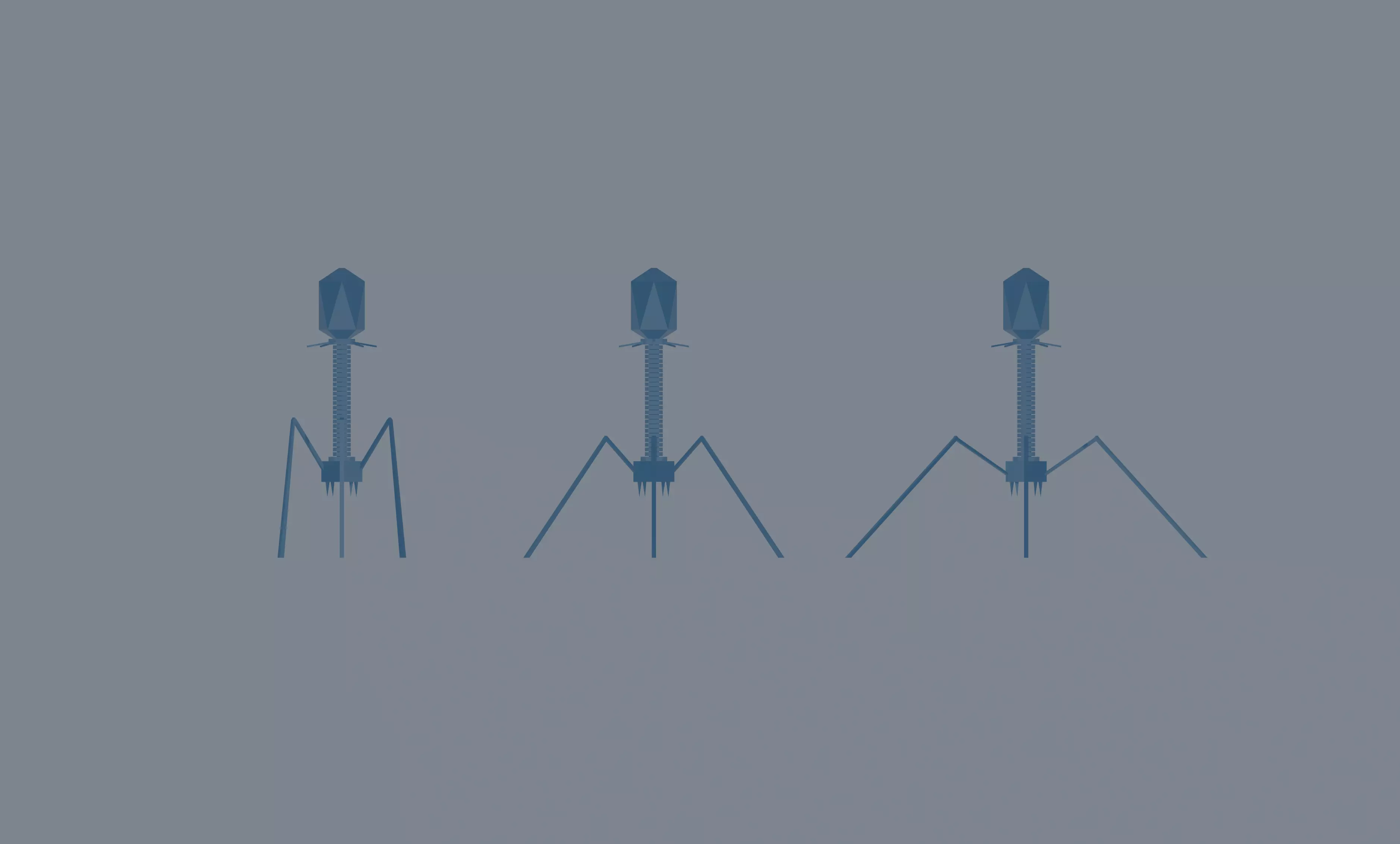 Bacteriophage Low-poly 3D model_0
