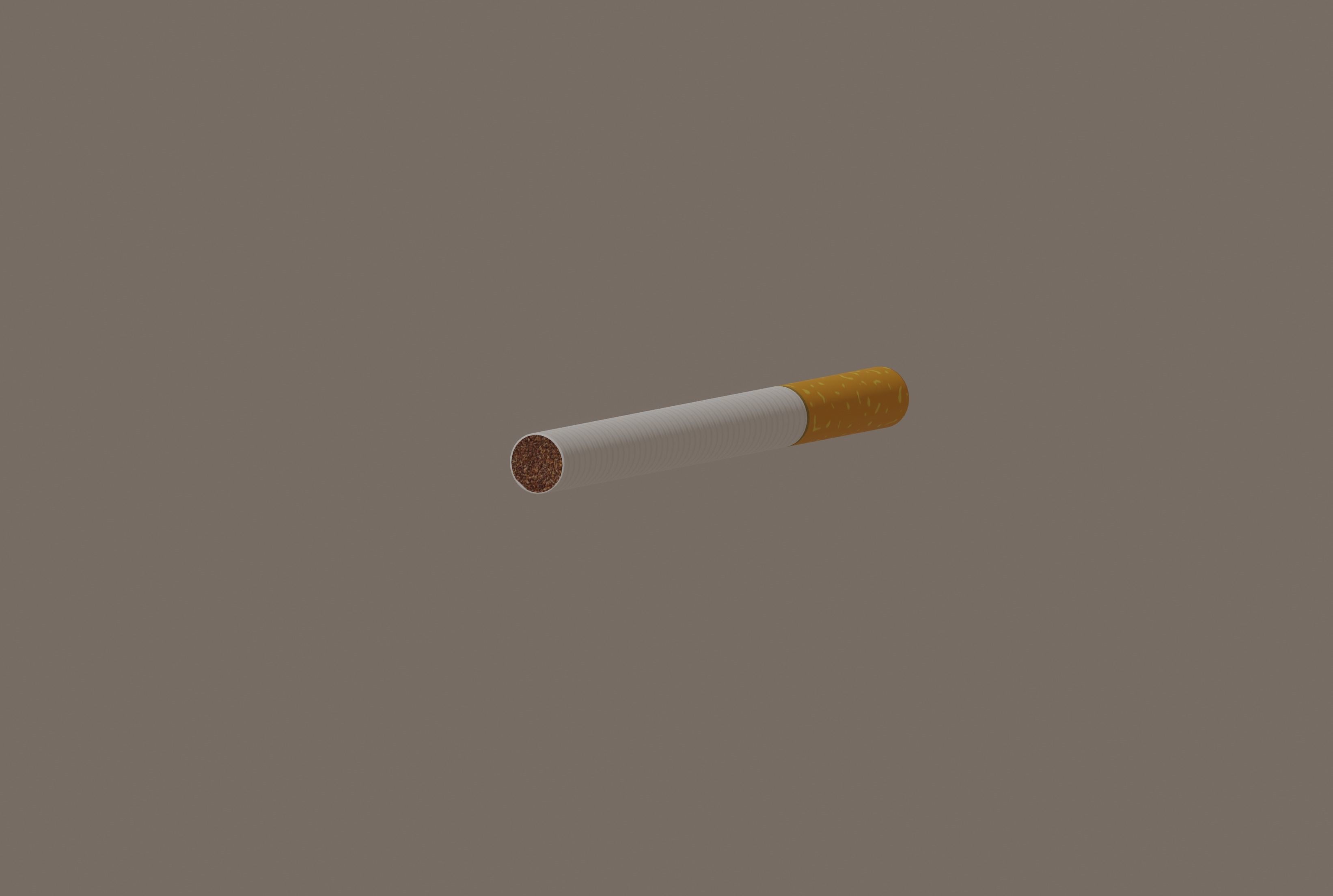 Cigarette Low-poly 3D model_2
