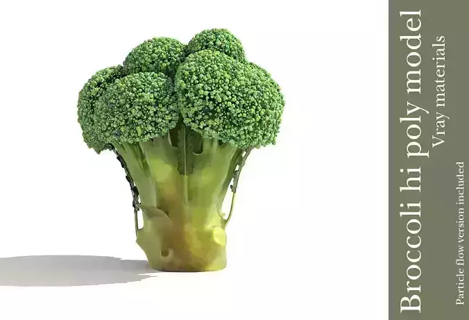 Broccoli plant