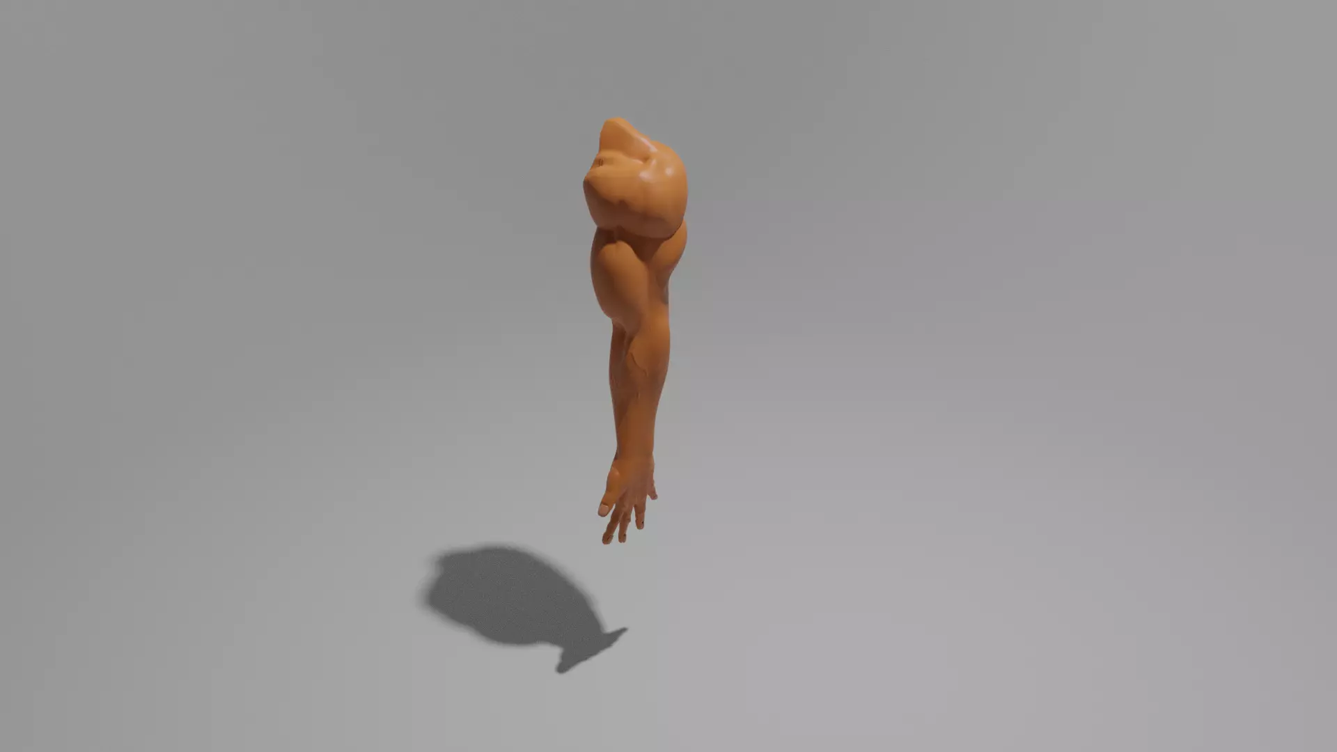 Human arm for men 3D model_0