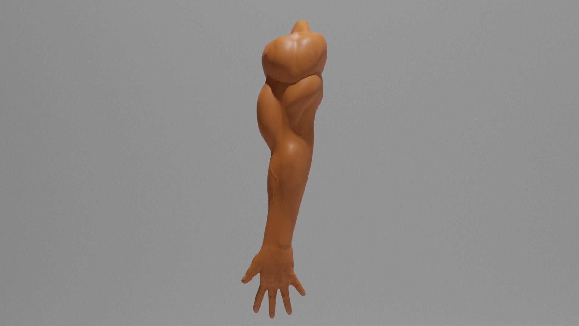 Human arm for men 3D model_3