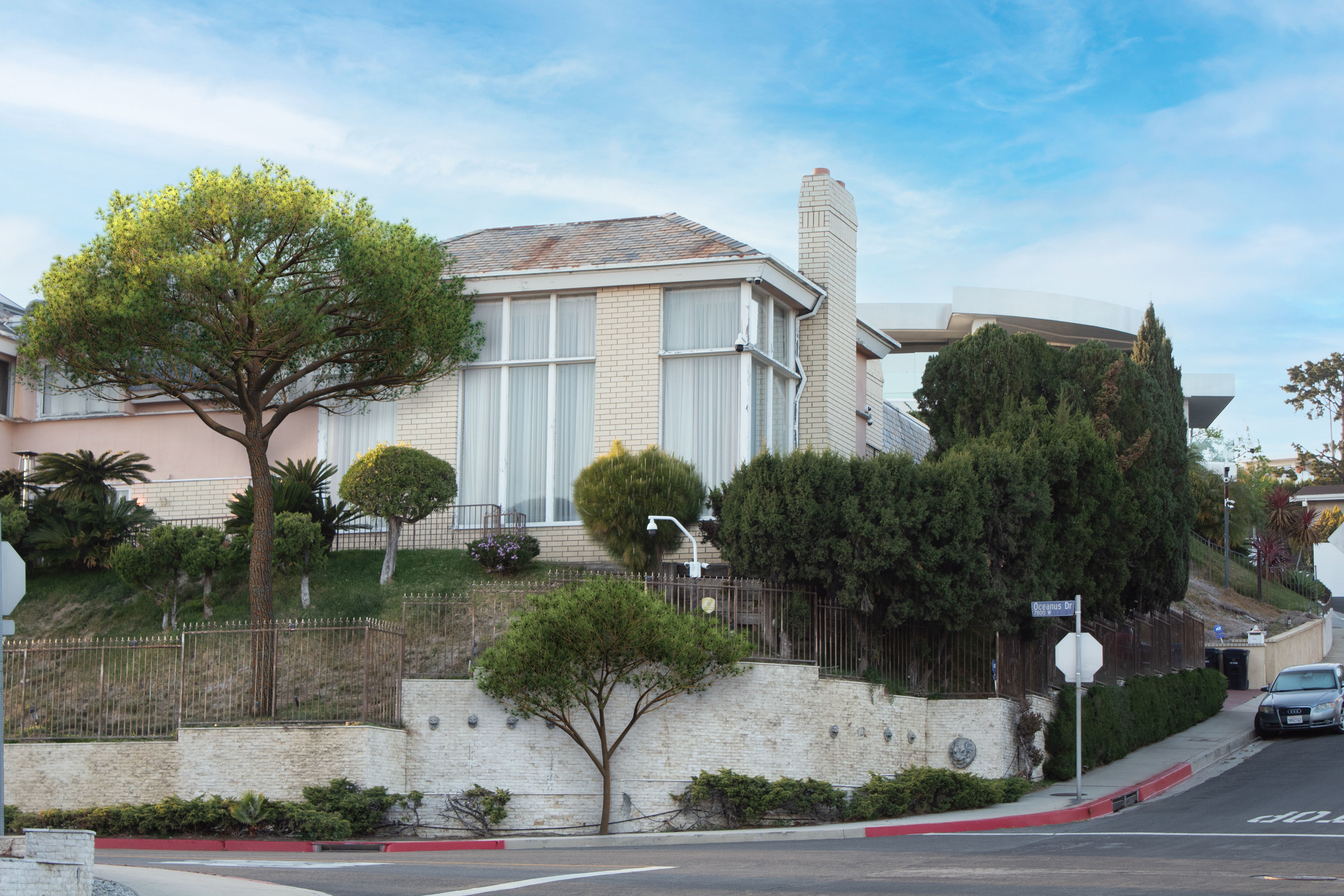 2021 PBR Italian Stone Pine Collection - Pinus Pinea 3D model_2