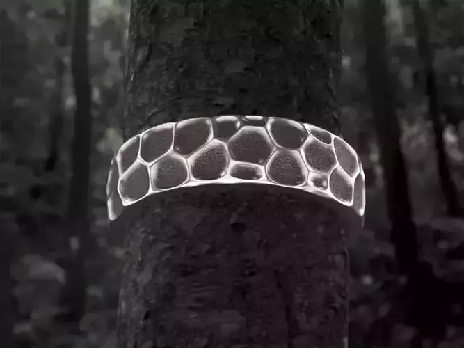 Voronoi Ring