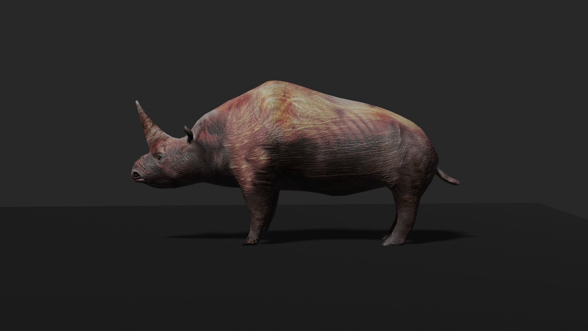 ELASMOTHERIUM rhinoceros Low-poly 3D model_7