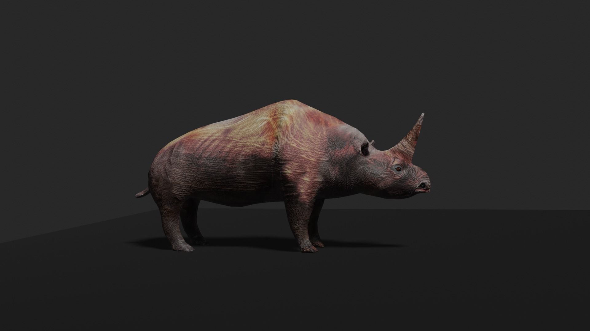 ELASMOTHERIUM rhinoceros Low-poly 3D model_10