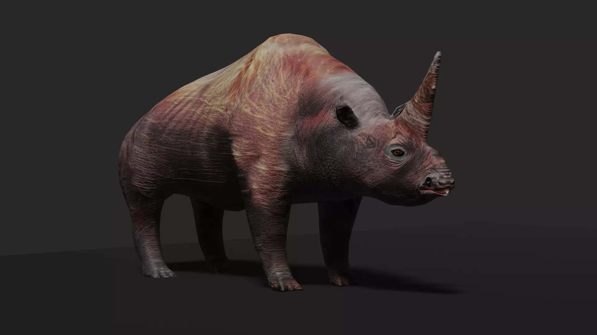 ELASMOTHERIUM rhinoceros Low-poly 3D model_0
