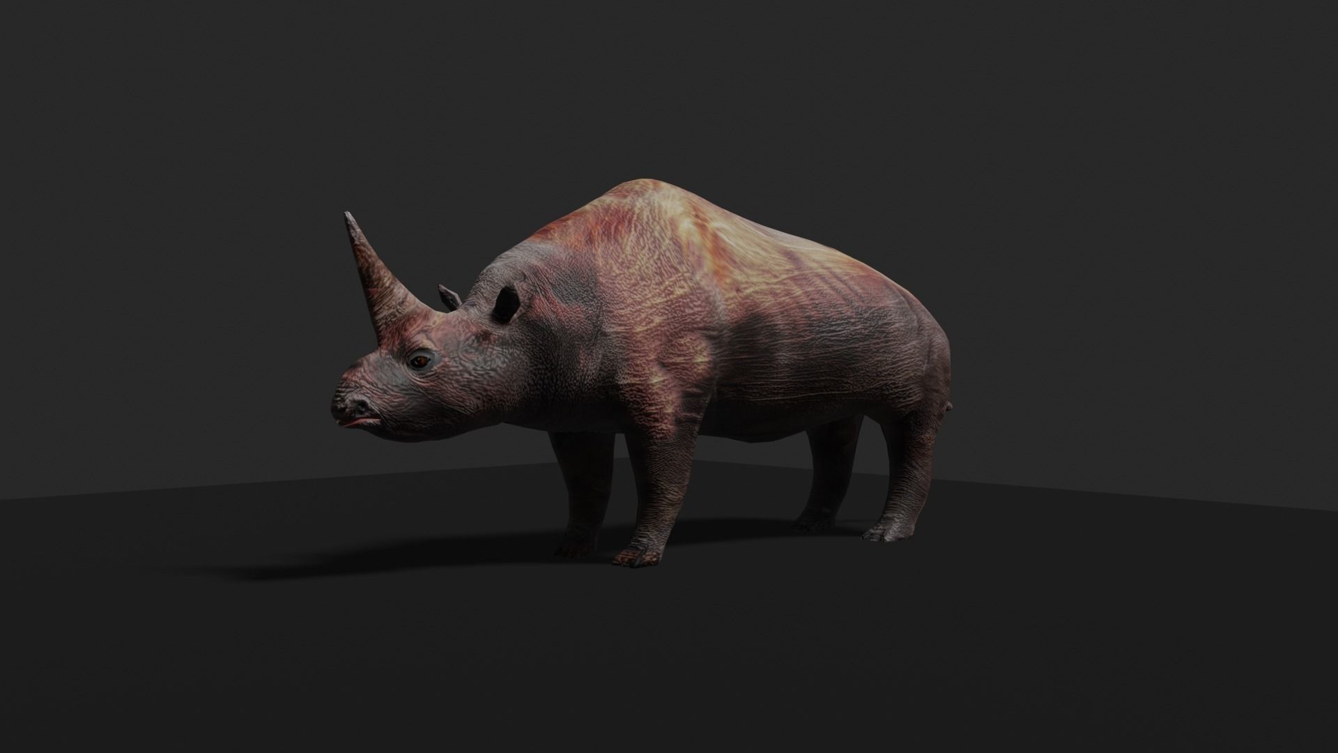 ELASMOTHERIUM rhinoceros Low-poly 3D model_2