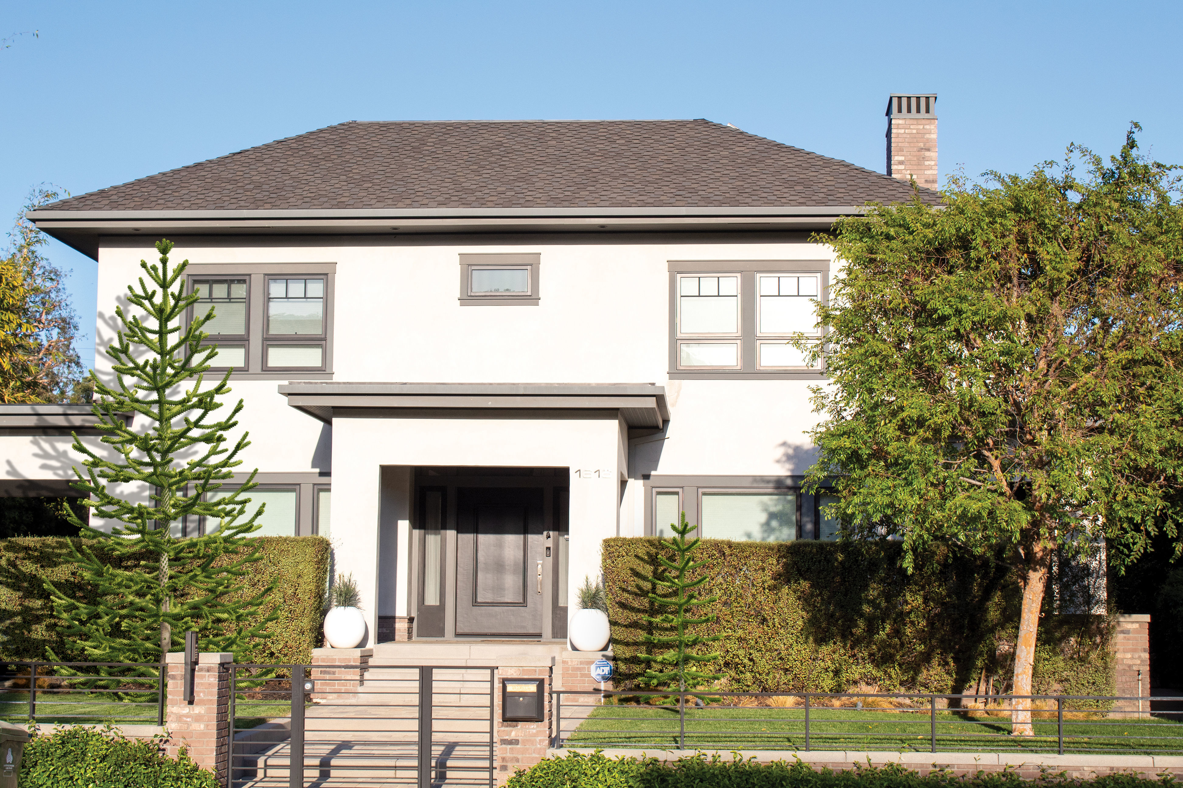 2021 PBR Araucaria Collection - Araucaria Araucara 3D model_2