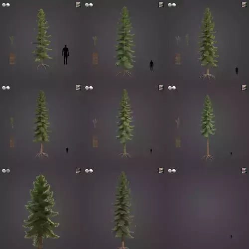 2021 PBR Douglas Fir Collection - Pseudotsuga Menziesii 3D model