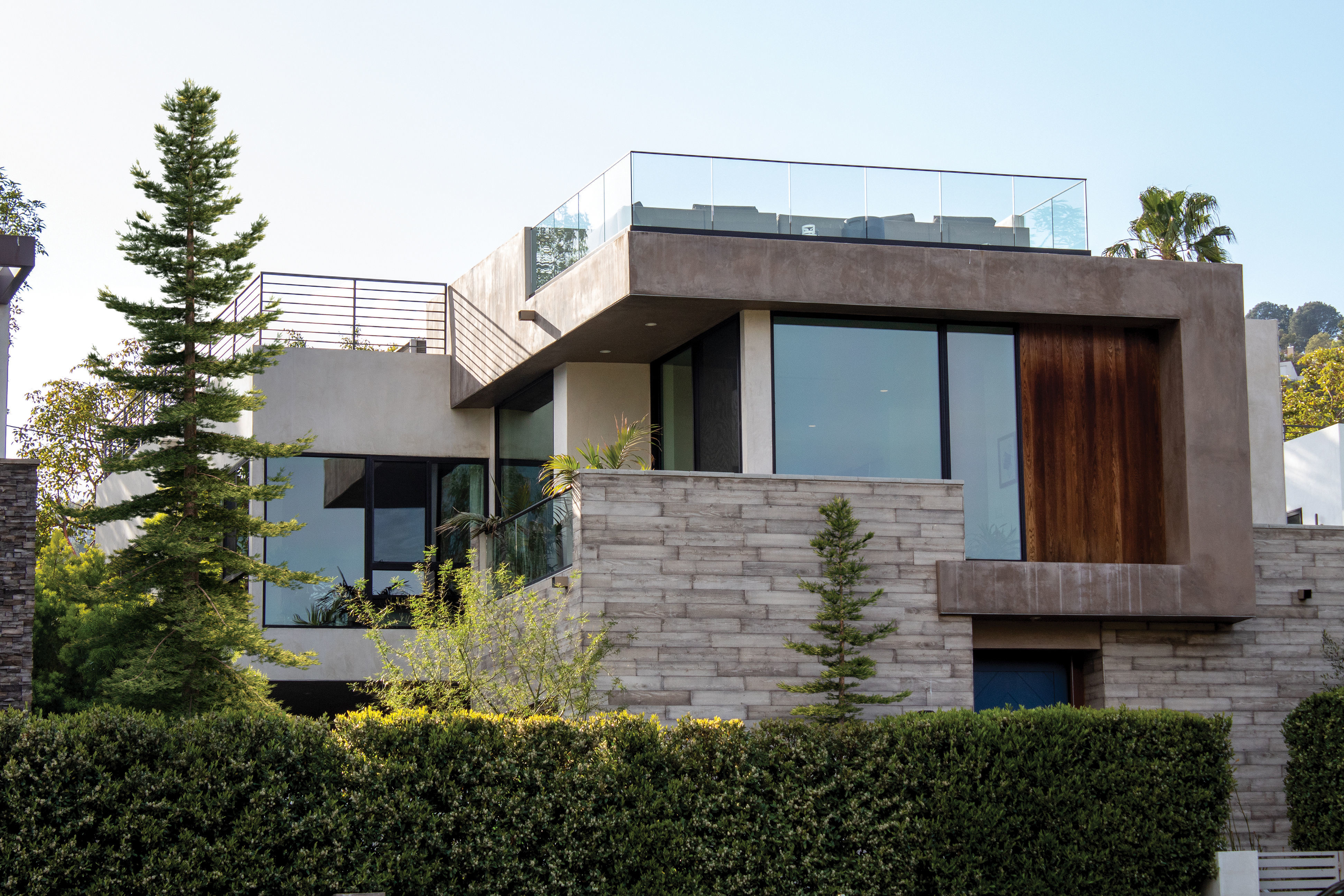 2021 PBR Douglas Fir Collection - Pseudotsuga Menziesii 3D model_2