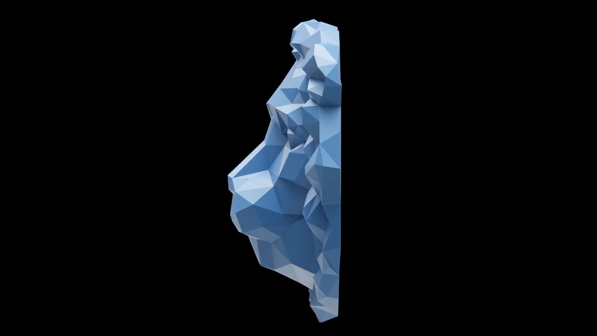 3D printable Lion Head abstract and detailed version 3D print model_8