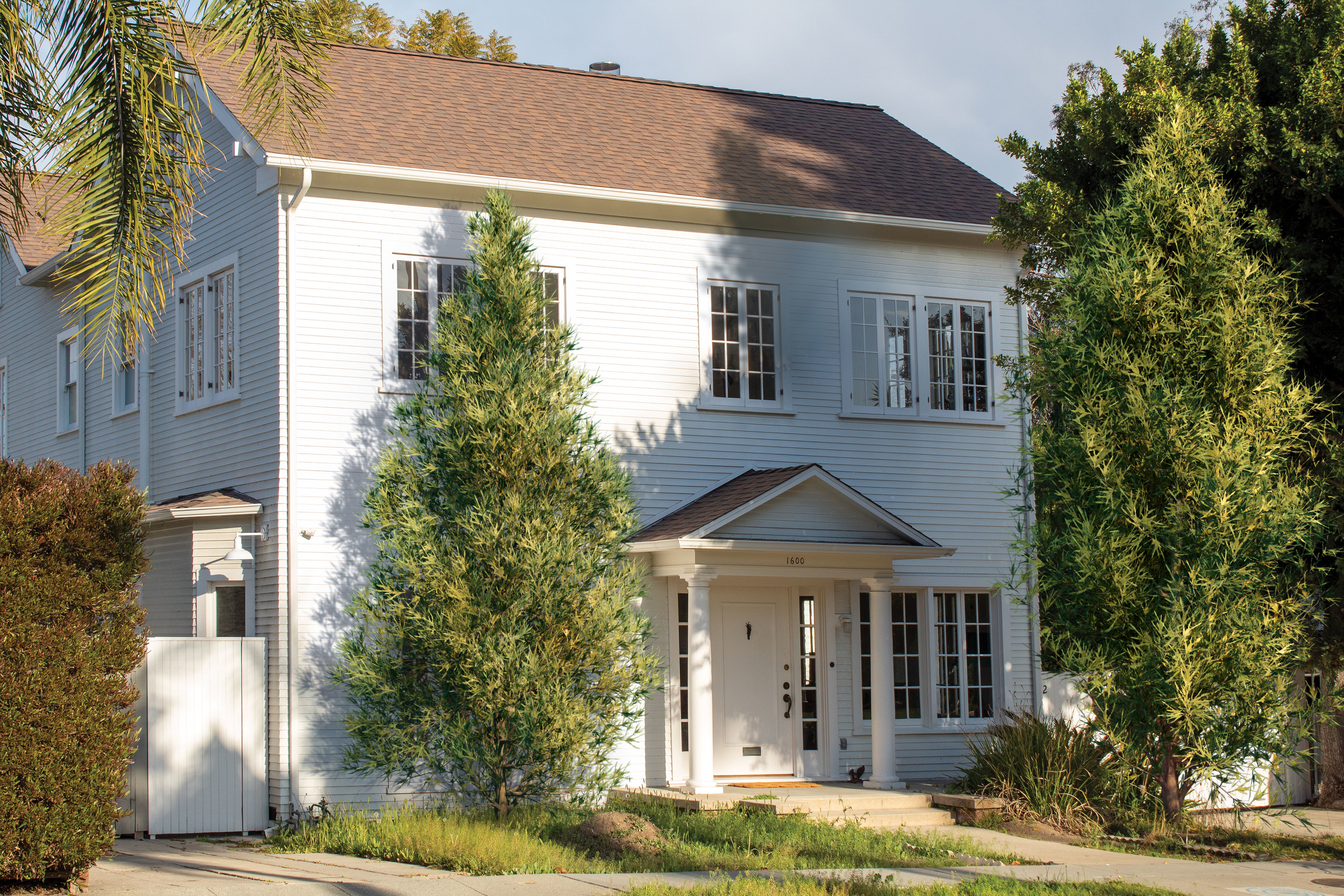 2021 PBR Japanese Cedar Collection - Cryptomeria Japonica 3D model_2