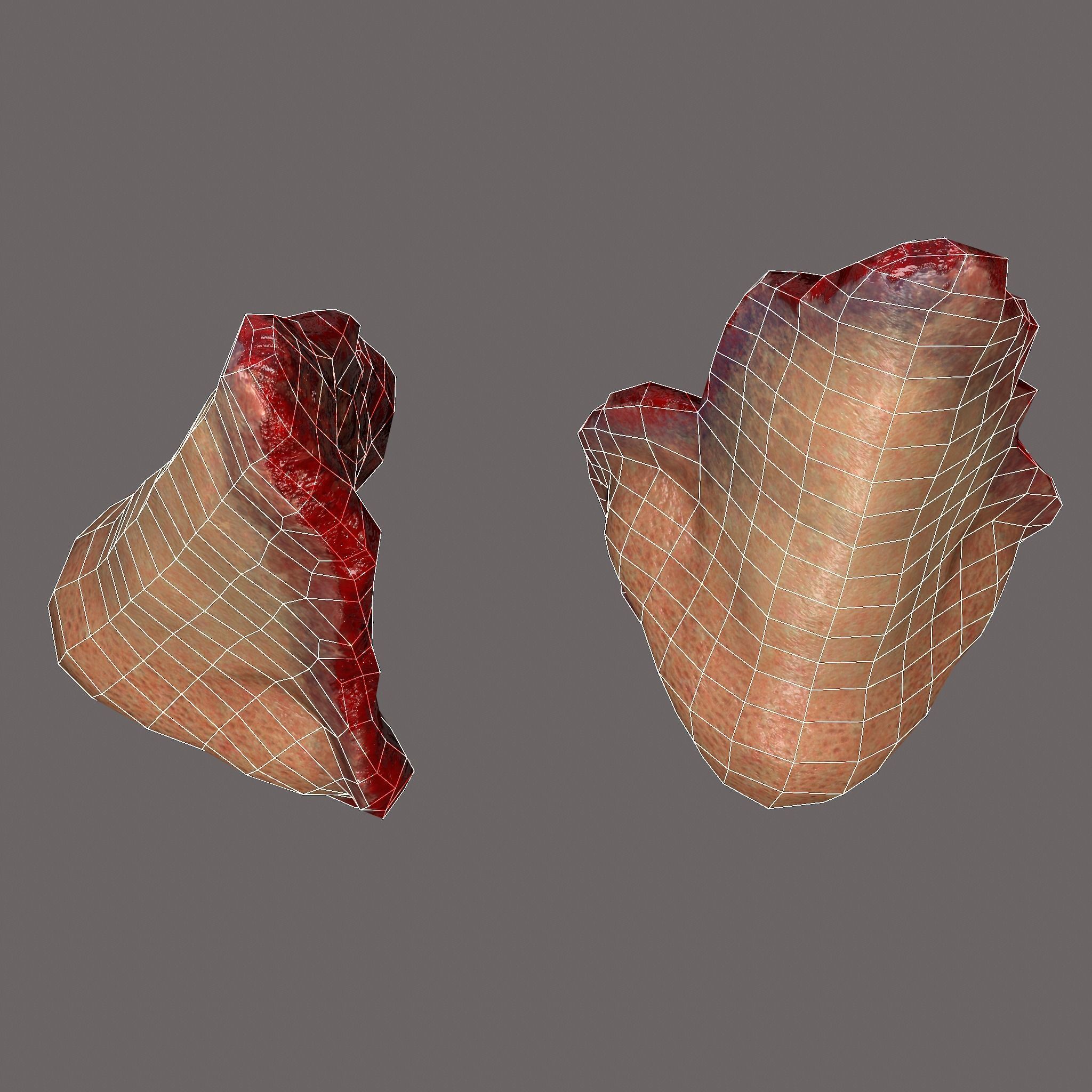 Severed Nose and Toes 3D Model Collection_95