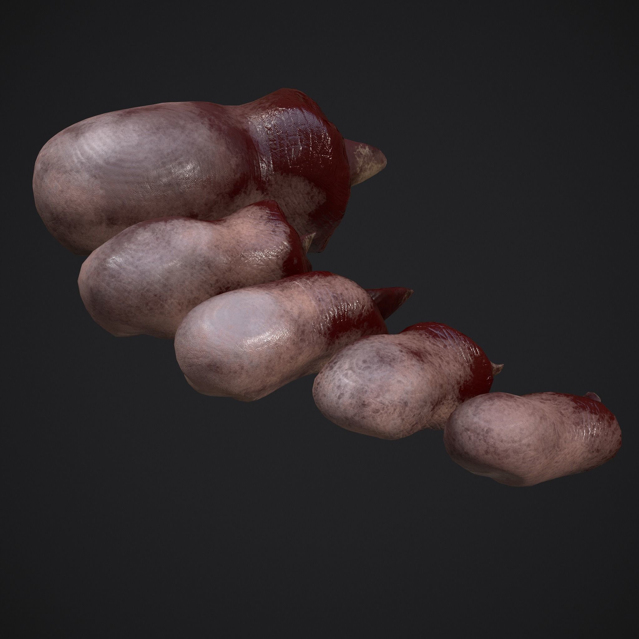Severed Nose and Toes 3D Model Collection_25