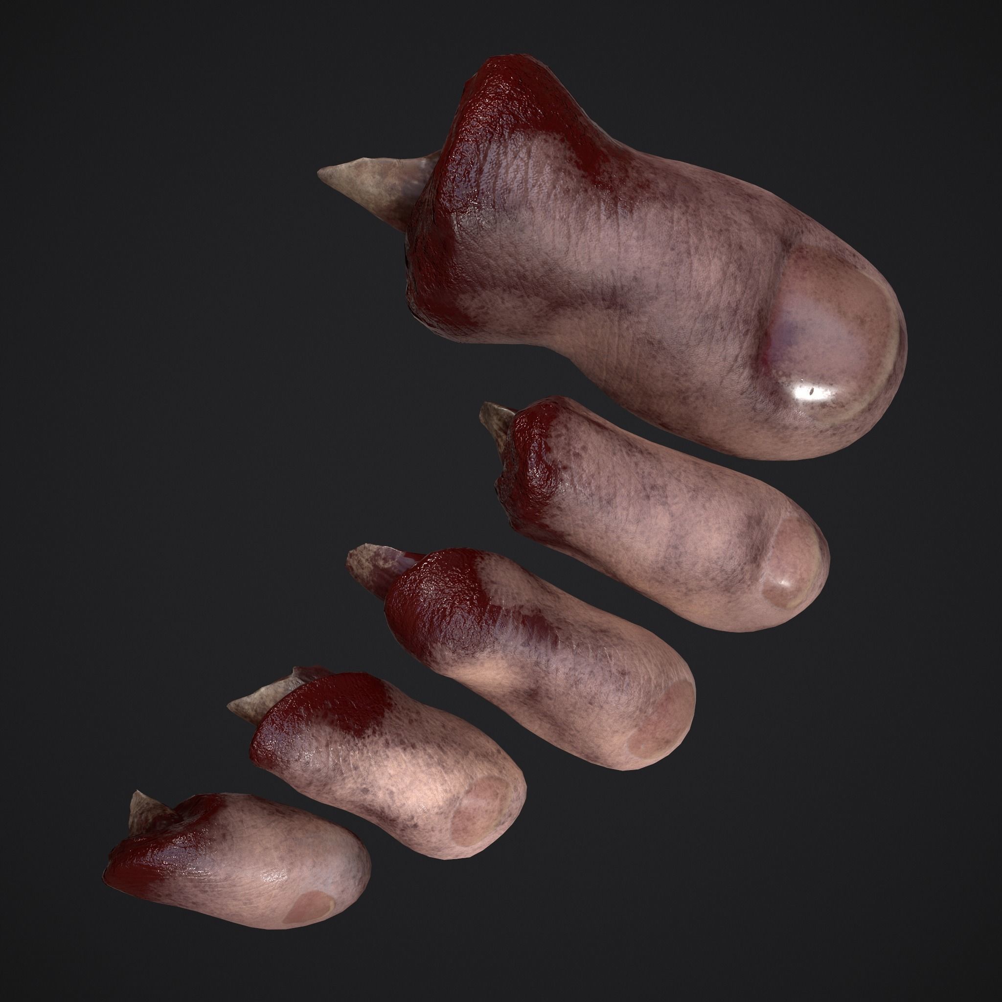 Severed Nose and Toes 3D Model Collection_46