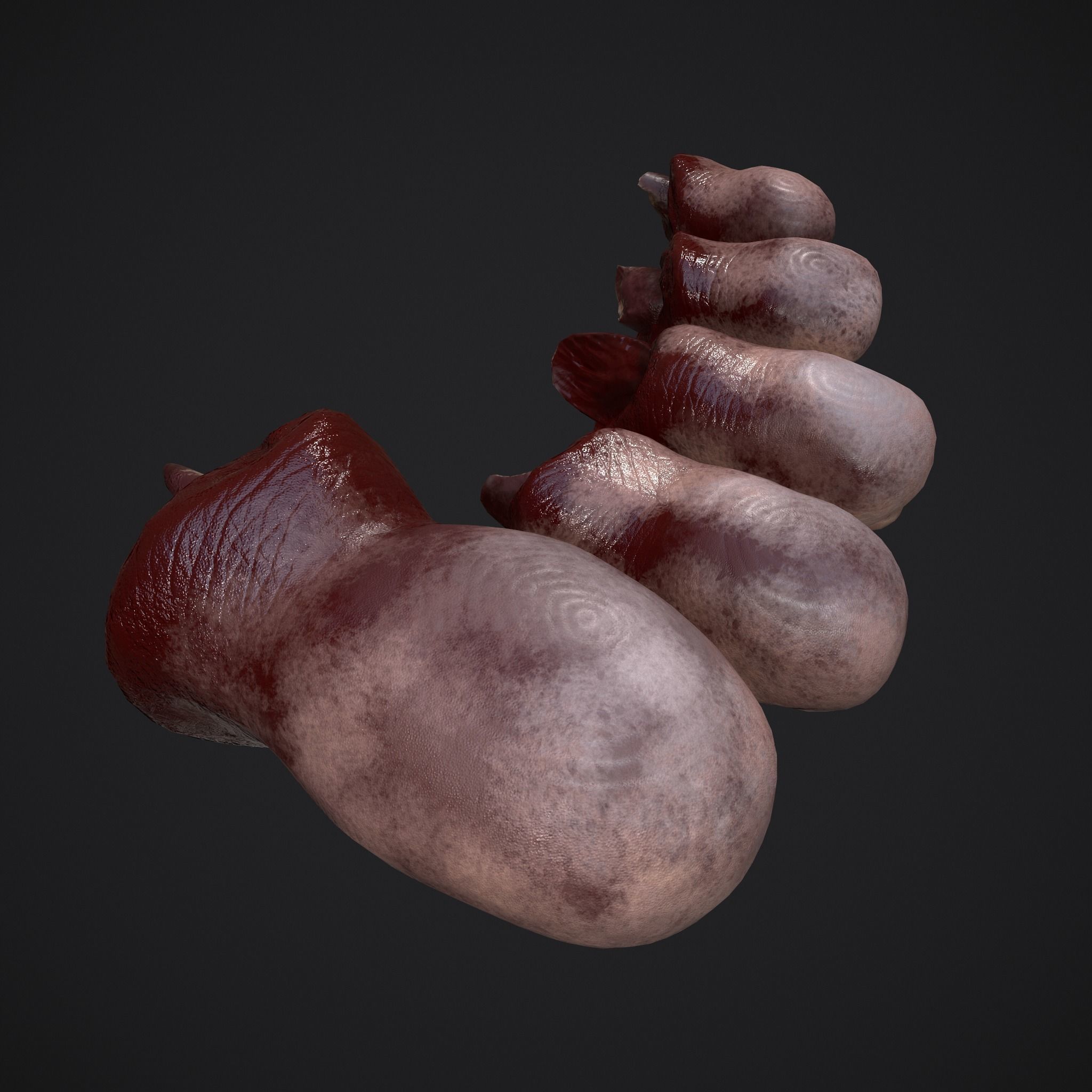 Severed Nose and Toes 3D Model Collection_29
