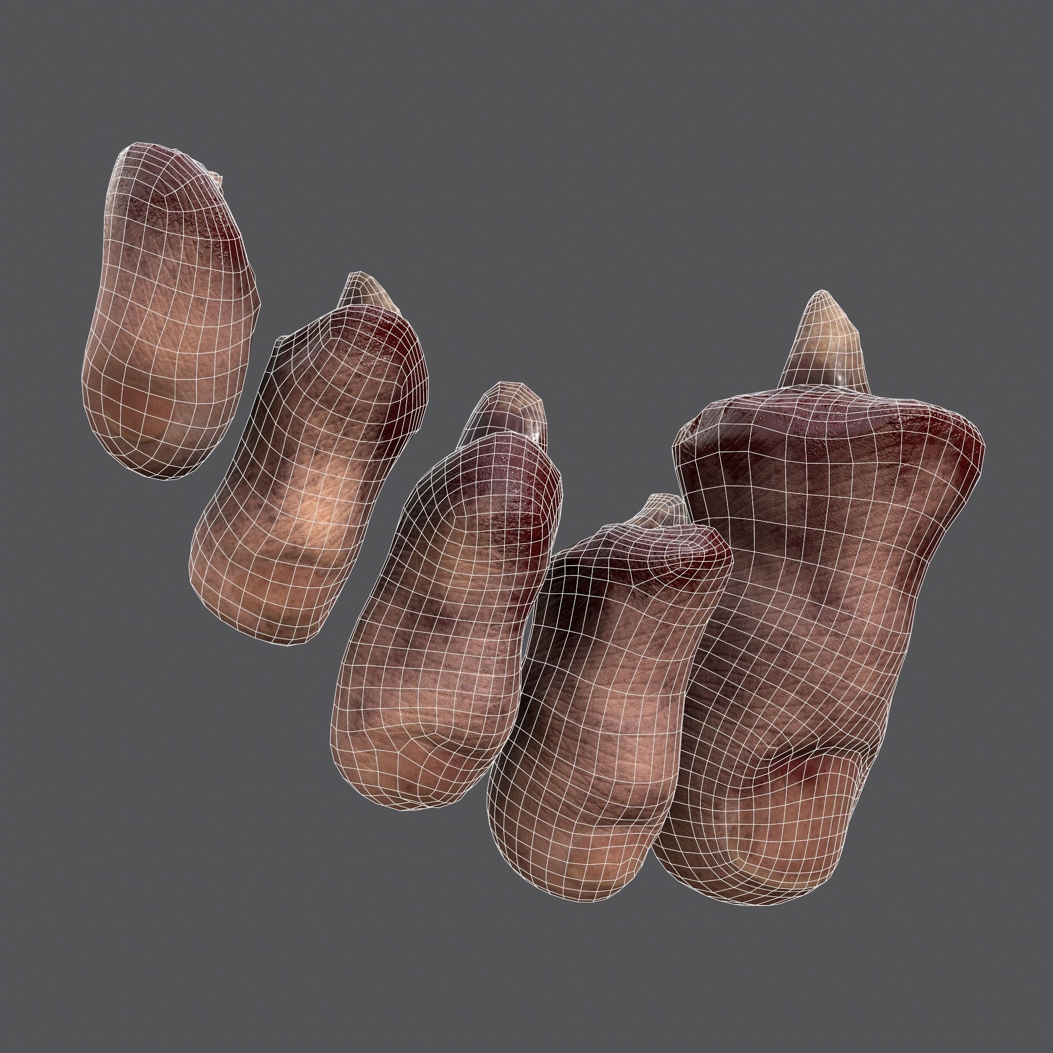 Severed Nose and Toes 3D Model Collection_59