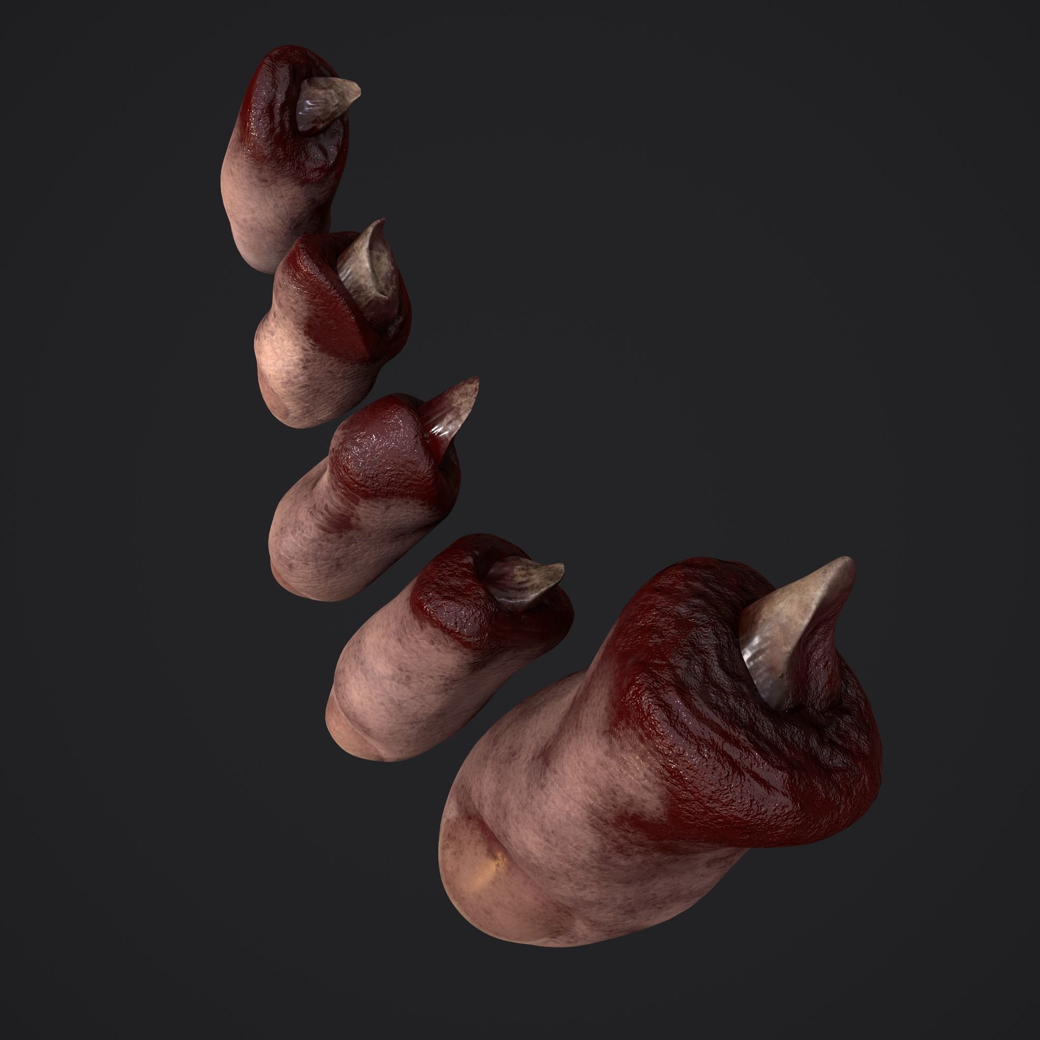 Severed Nose and Toes 3D Model Collection_9